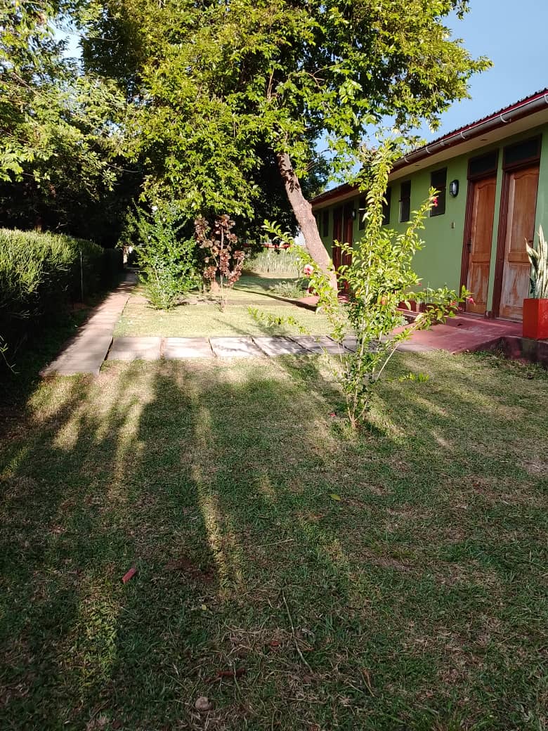 Gallery image 41
